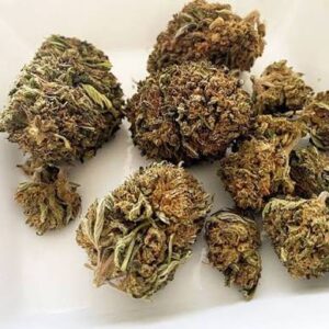 Amnesia Haze España