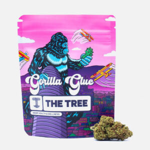 Gorilla Glue 9€ - gr Indoor