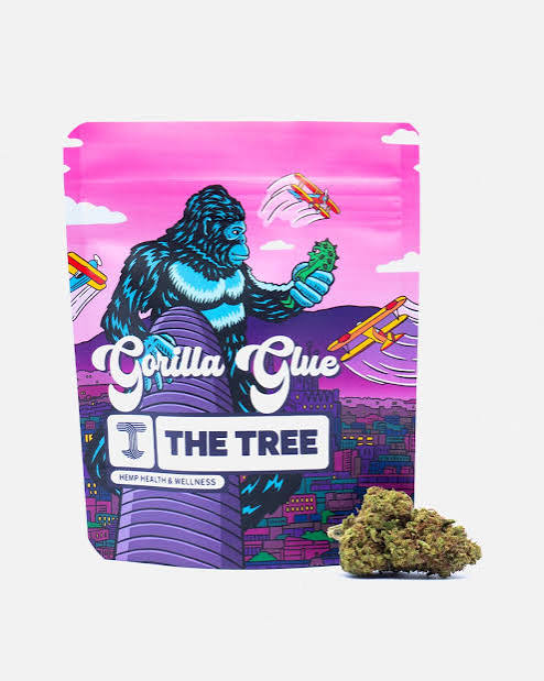 Gorilla Glue 9€ - gr Indoor